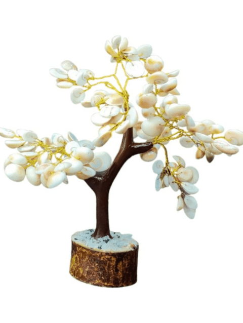 Natural & Original Gomti Chakra | Gomati Chakra Tree for Good Luck & Prosperity