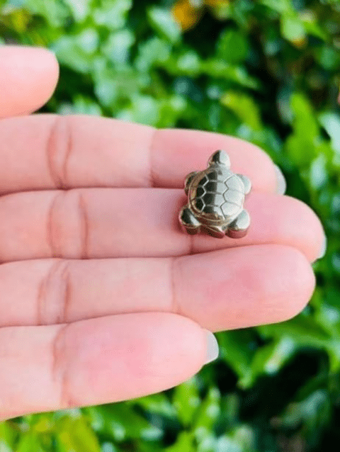 Money Magnet Tortoise
